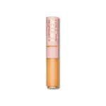 Maybelline-Lifter-Conceal-60-11ml.jpg