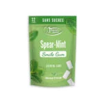 Denti-smile-chewing-Gums-menthe-fraiche-sans-sucres-32-gums-1.jpg