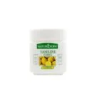 NATURESOIN-VASELINE-CODEX-CITRON-200ML-1.jpg